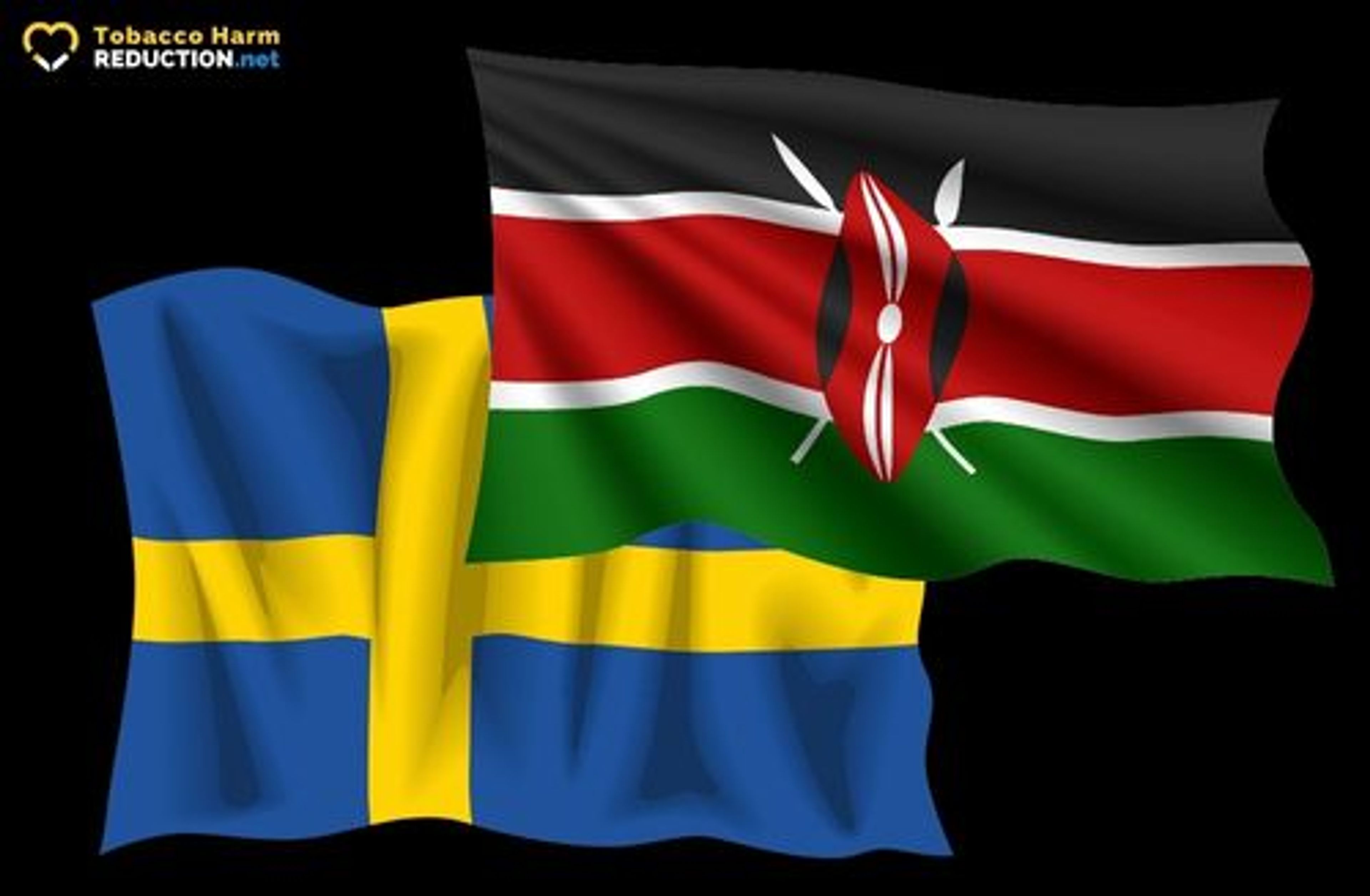 Kenya v Sweden THR Resource.jpeg